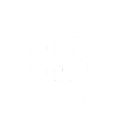 Beers, Beverages, & Beyond