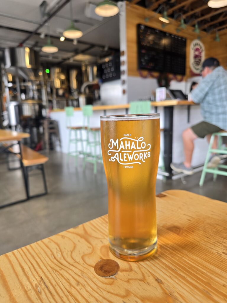 pint of beer with view of production area and bar edge